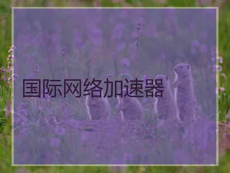国际网络加速器
