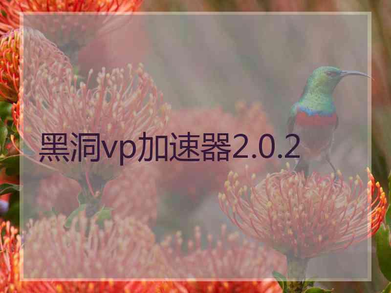 黑洞vp加速器2.0.2