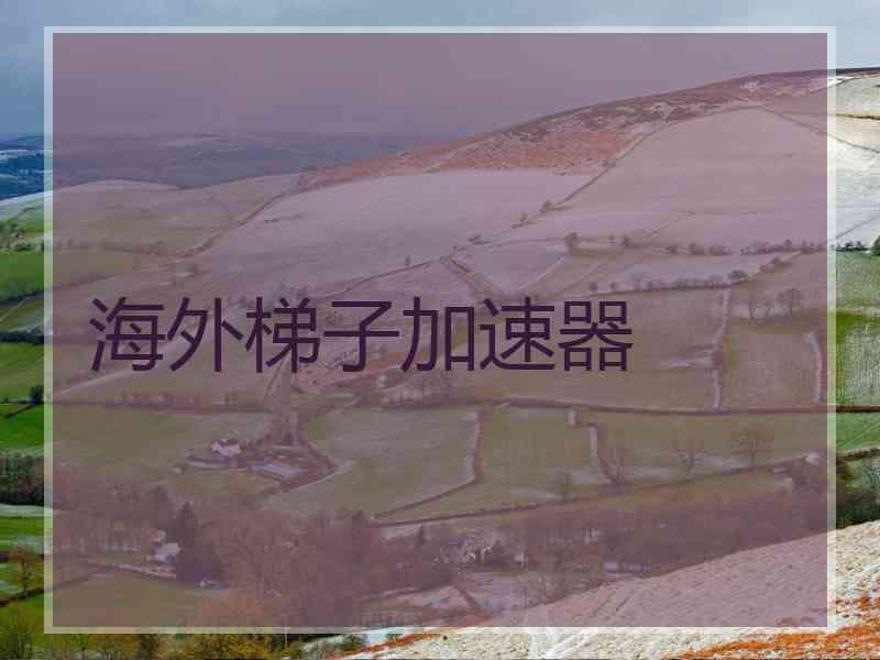 海外梯子加速器