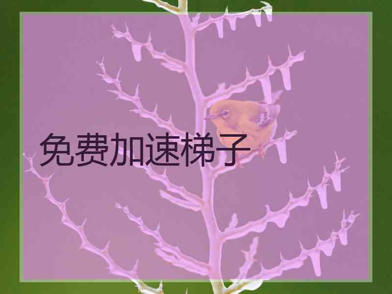 免费加速梯子