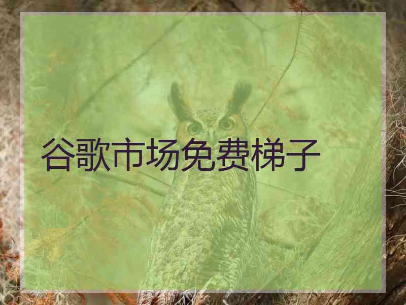 谷歌市场免费梯子
