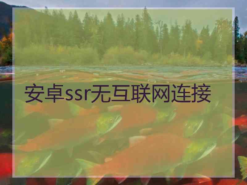 安卓ssr无互联网连接