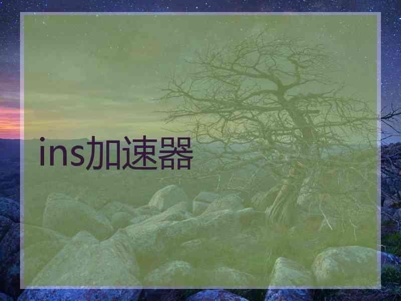 ins加速器