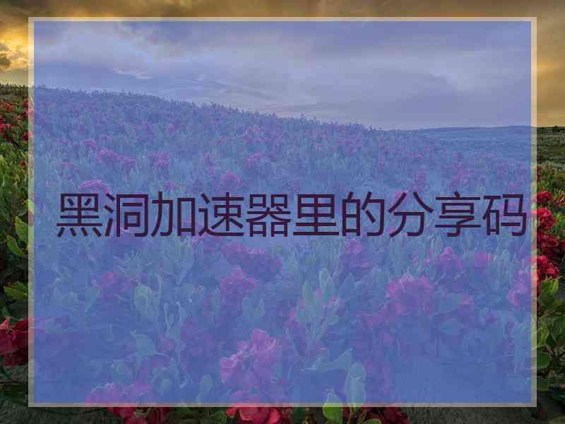 黑洞加速器里的分享码