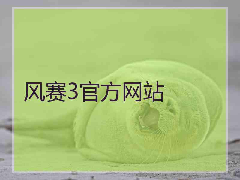 风赛3官方网站