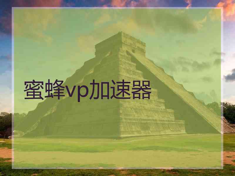 蜜蜂vp加速器