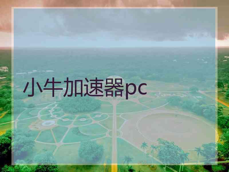 小牛加速器pc