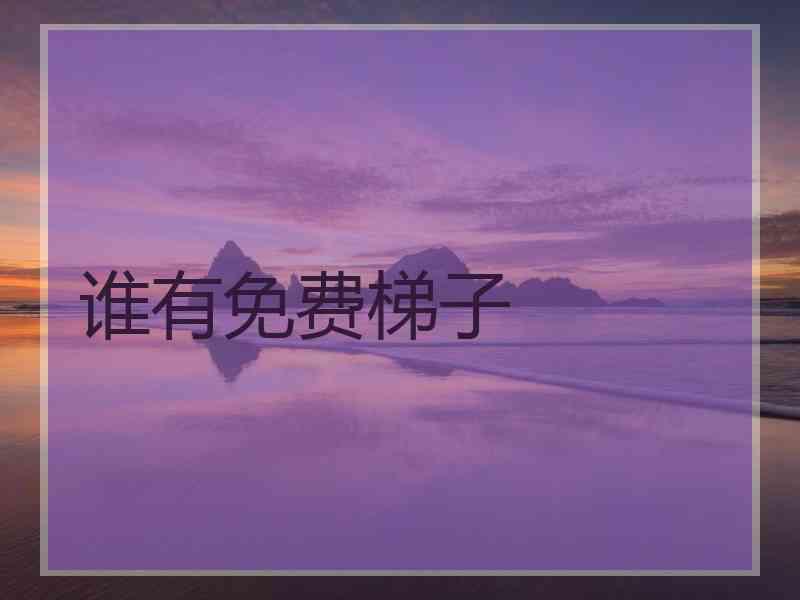 谁有免费梯子