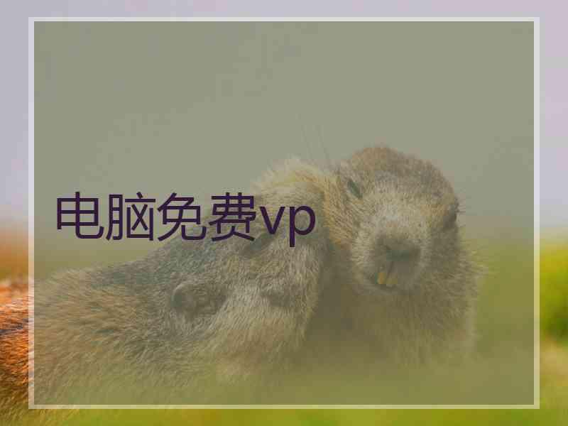 电脑免费vp