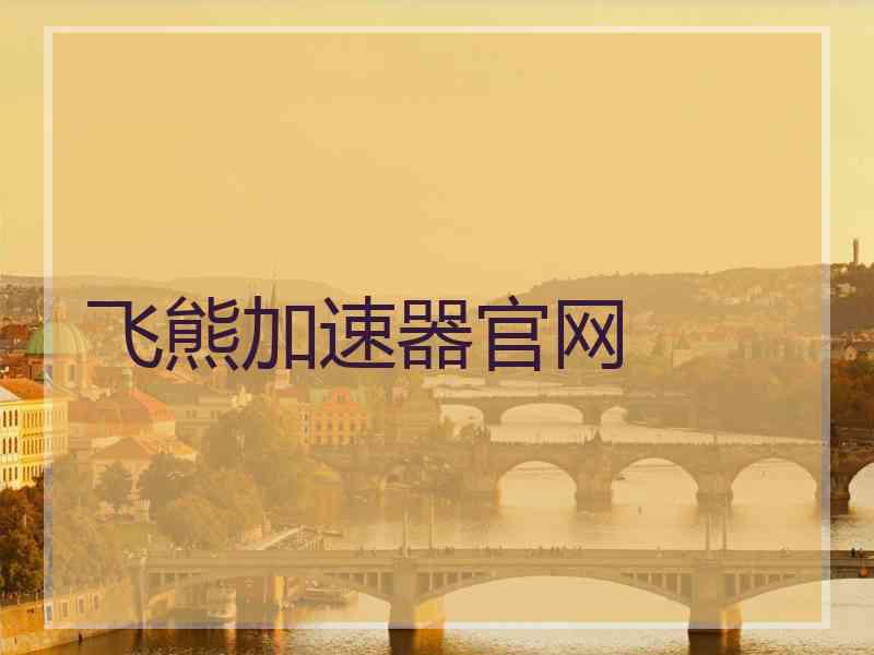 飞熊加速器官网