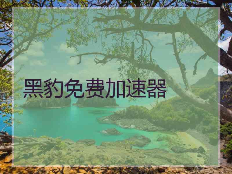 黑豹免费加速器