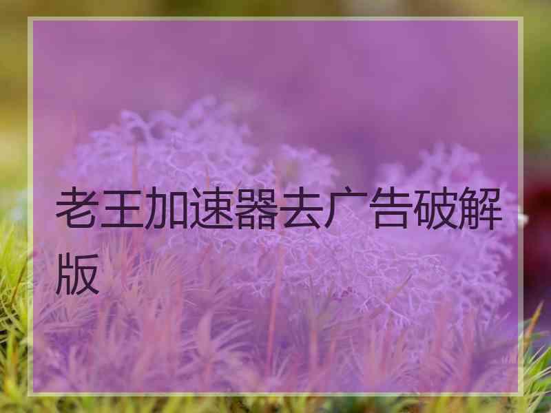 老王加速器去广告破解版
