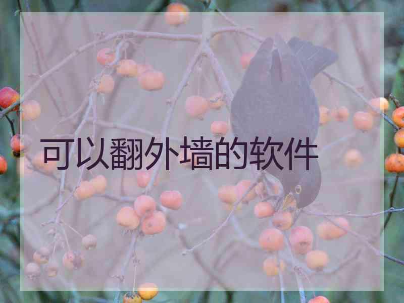 可以翻外墙的软件