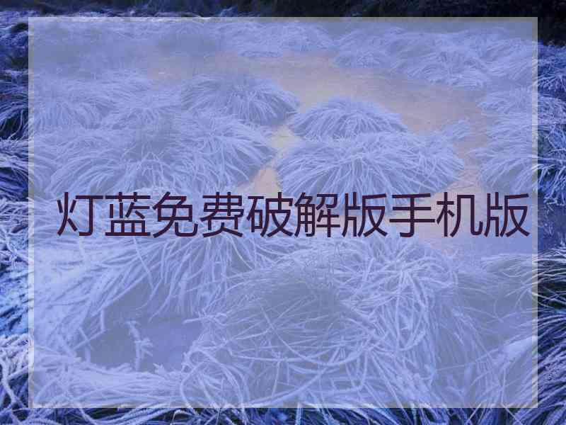 灯蓝免费破解版手机版