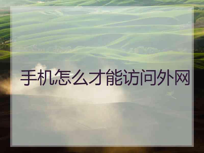手机怎么才能访问外网
