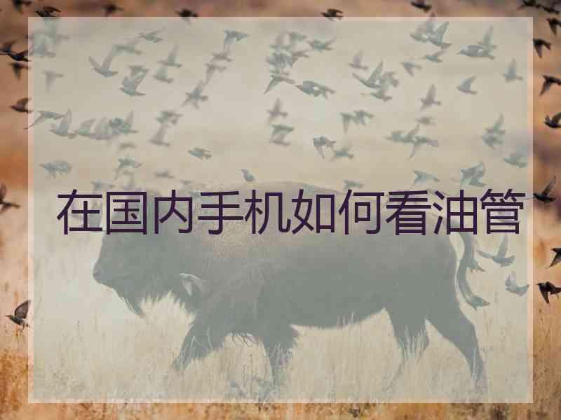 在国内手机如何看油管