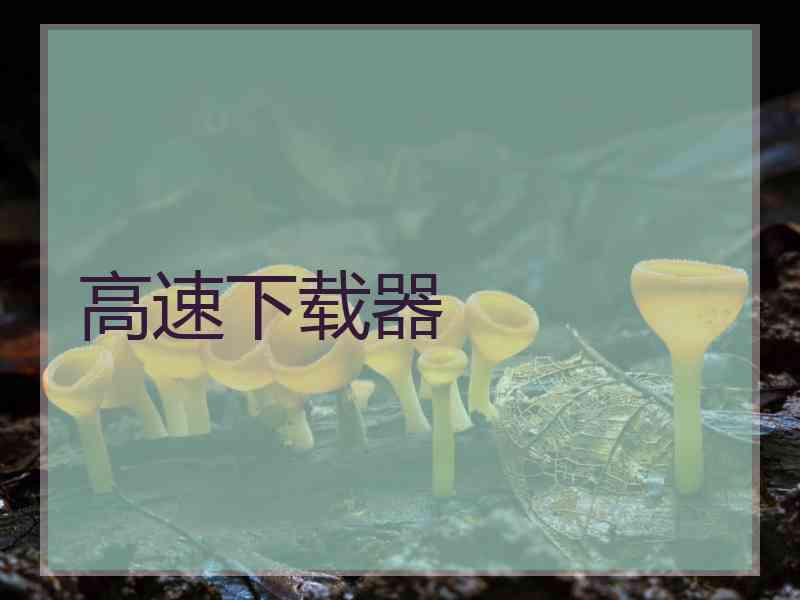高速下载器