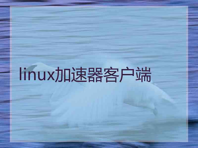 linux加速器客户端