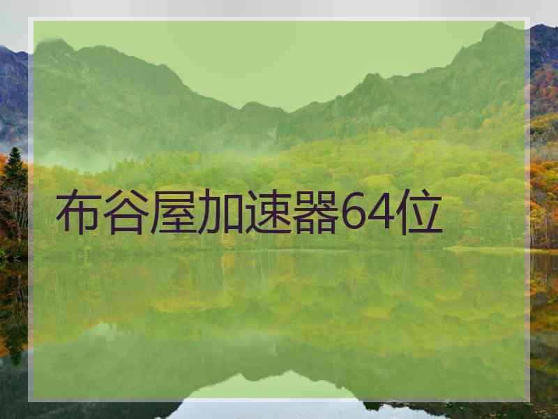 布谷屋加速器64位