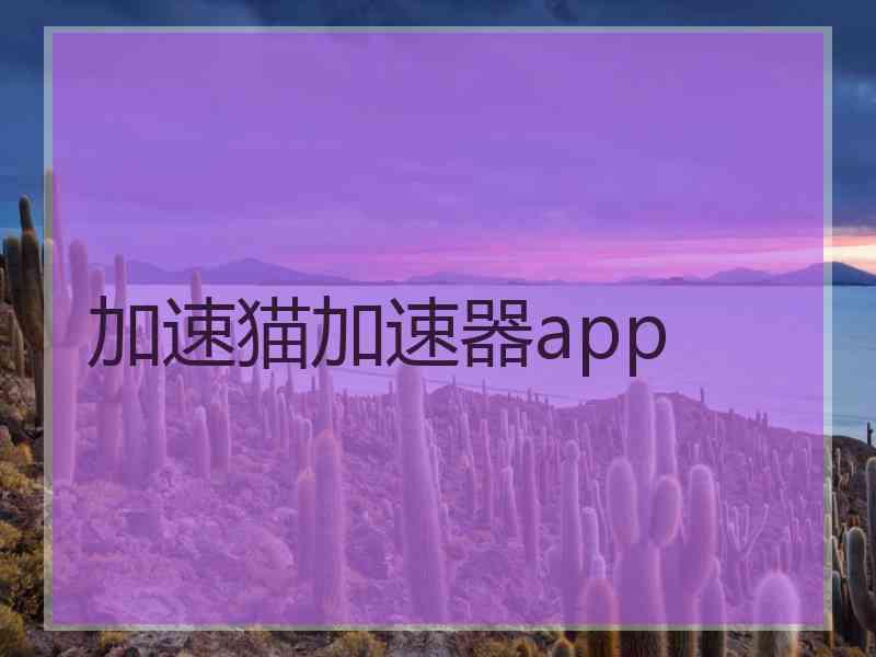 加速猫加速器app