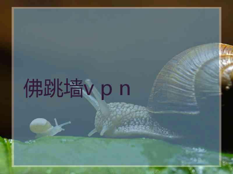佛跳墙v p n