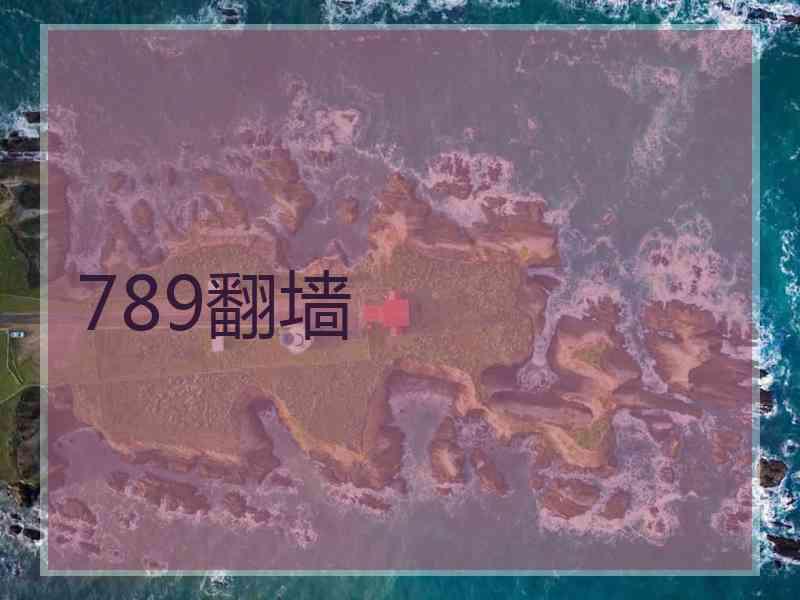789翻墙