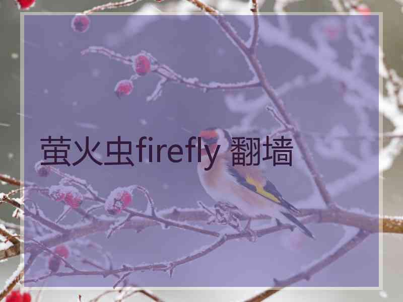 萤火虫firefly 翻墙