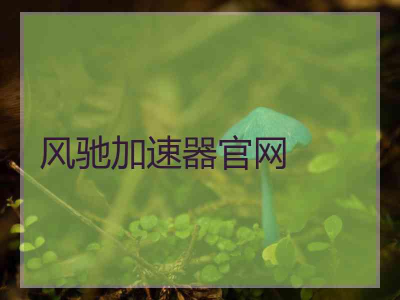 风驰加速器官网