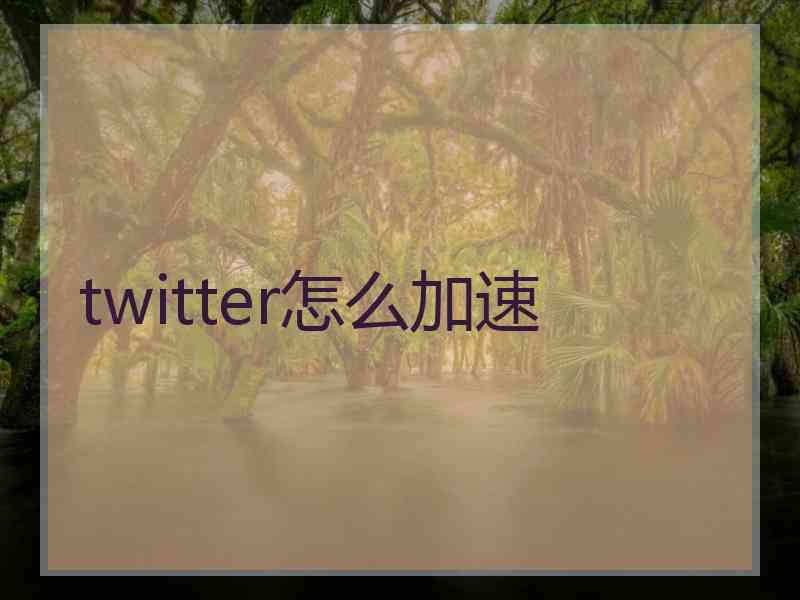 twitter怎么加速