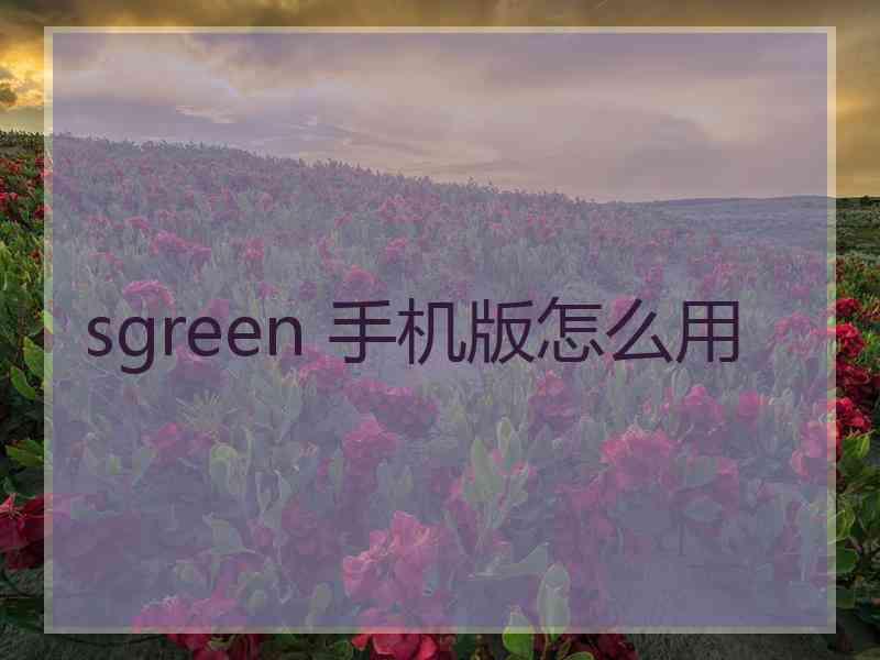 sgreen 手机版怎么用