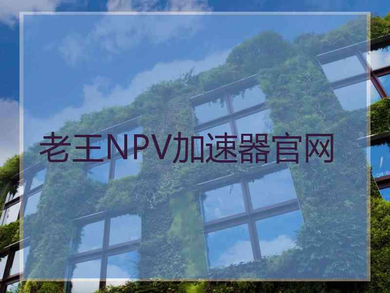 老王NPV加速器官网