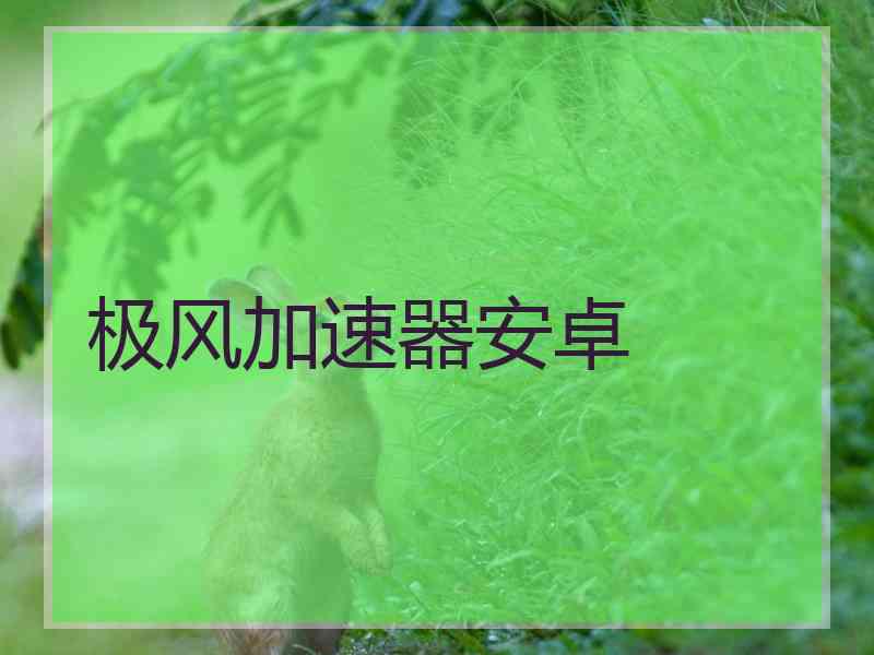 极风加速器安卓