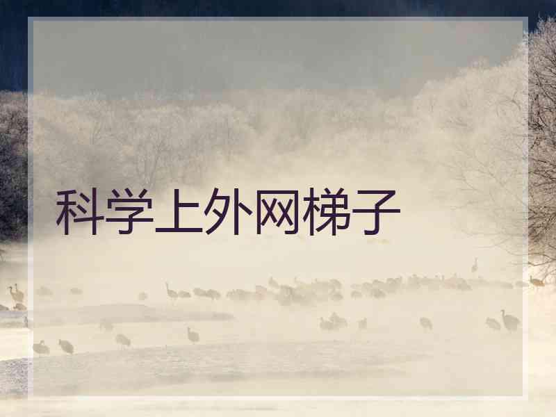 科学上外网梯子