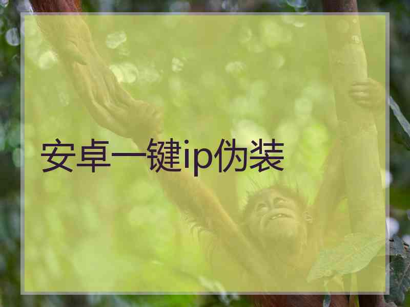 安卓一键ip伪装