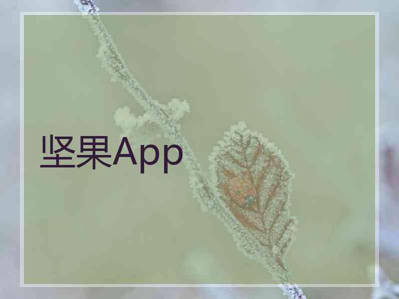坚果App