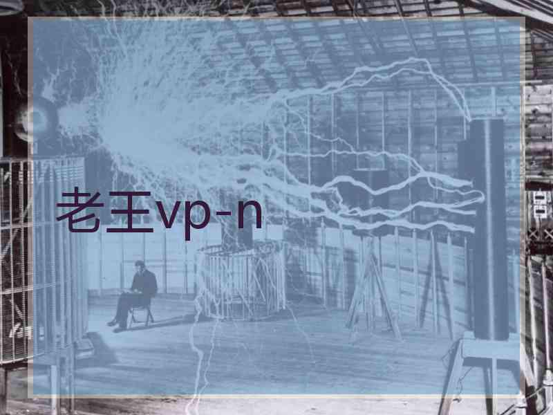 老王vp-n