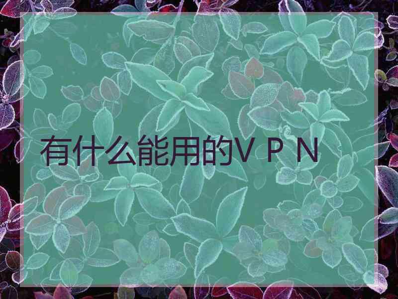 有什么能用的V P N