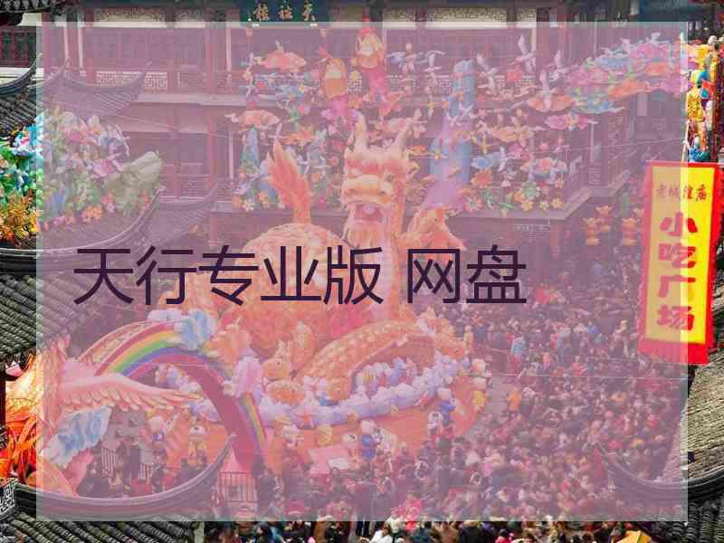 天行专业版 网盘