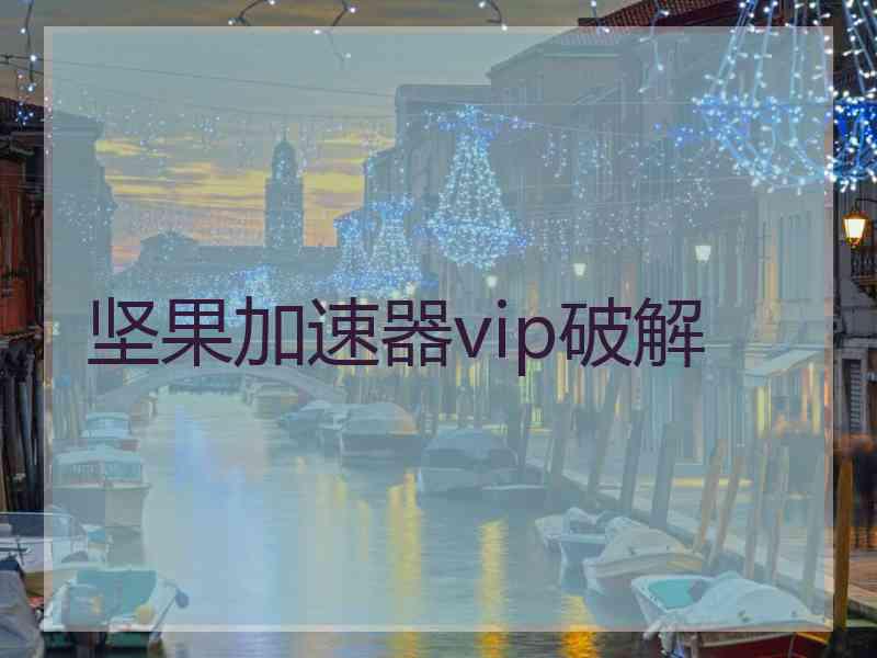 坚果加速器vip破解