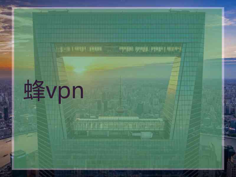 蜂vpn