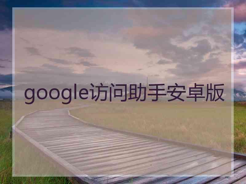 google访问助手安卓版