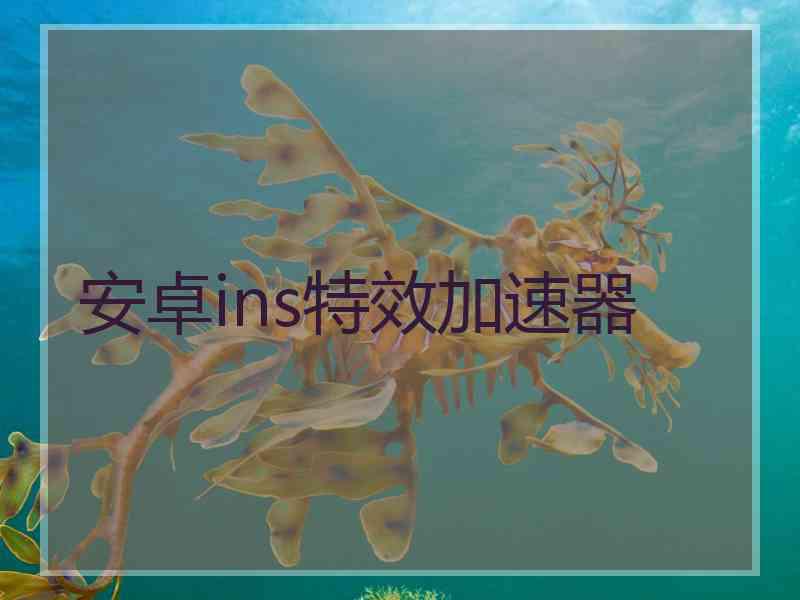 安卓ins特效加速器