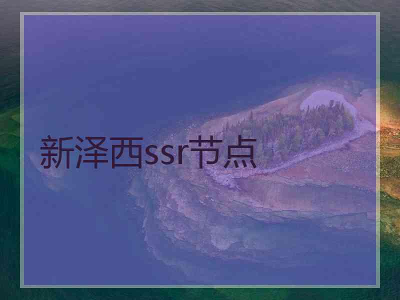 新泽西ssr节点