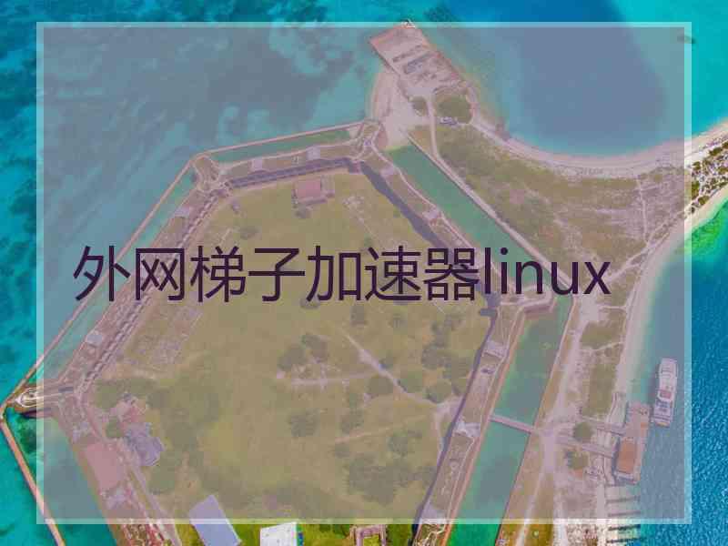 外网梯子加速器linux