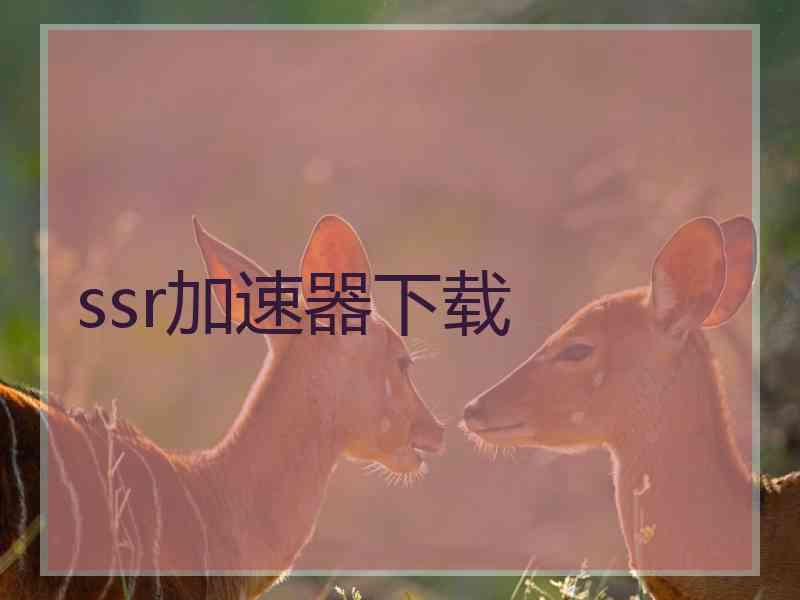 ssr加速器下载
