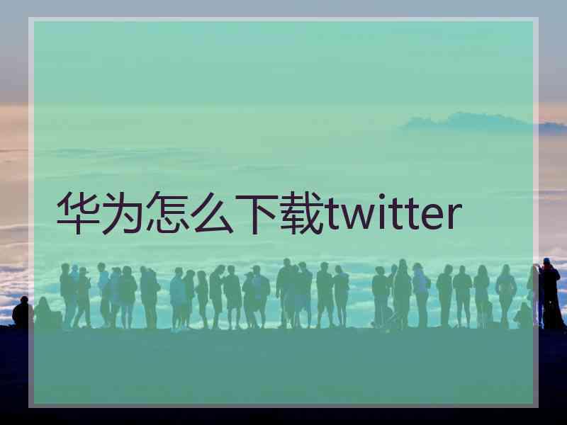 华为怎么下载twitter