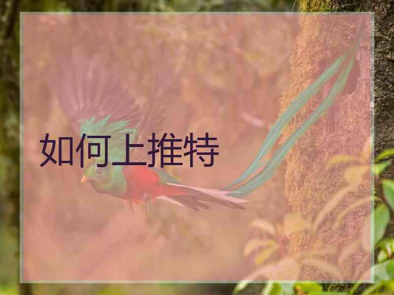 如何上推特