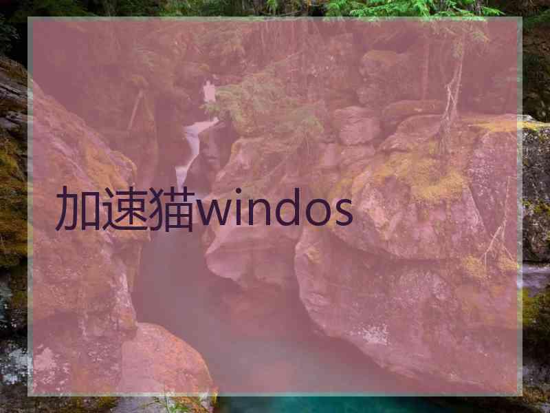 加速猫windos