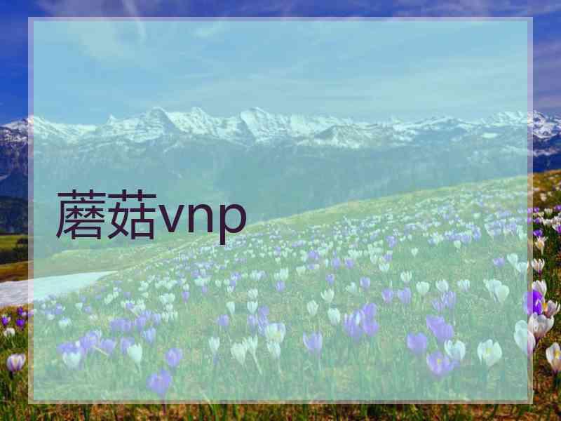 蘑菇vnp