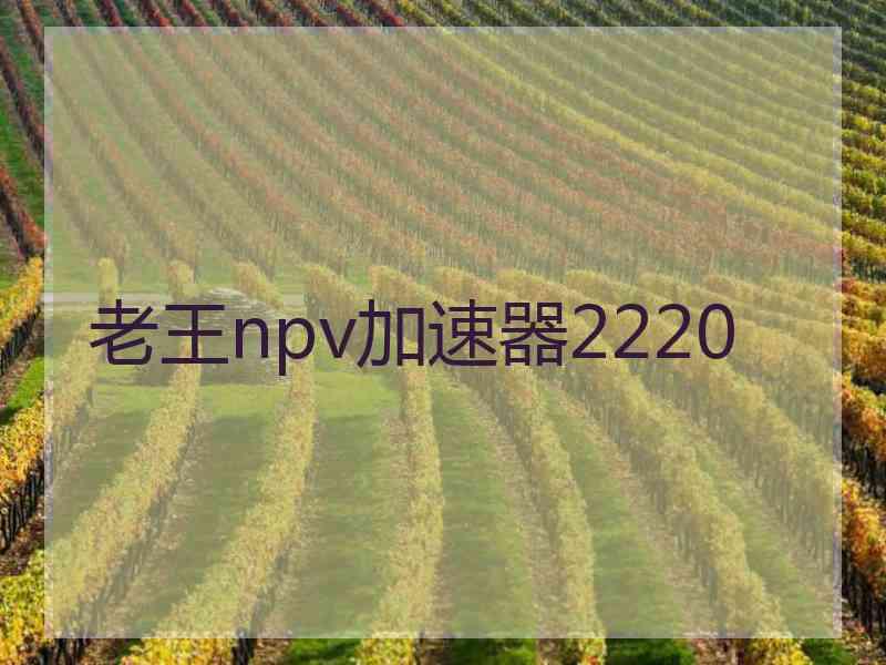 老王npv加速器2220